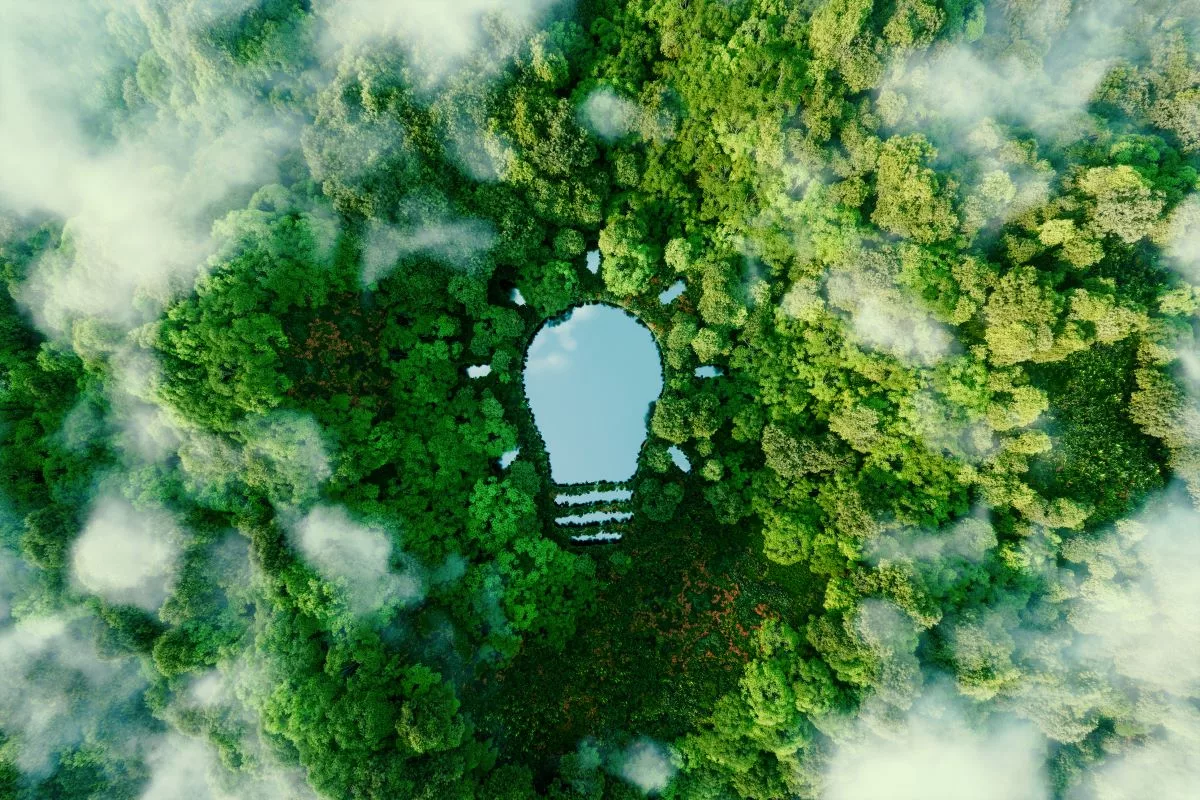 Carbon footprint green sustainability esg istock petmal 1343774494(1)