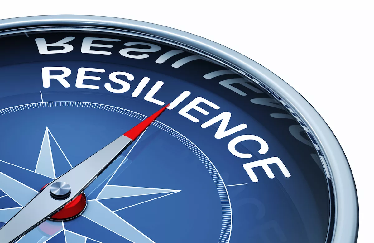 Supply chain resilient istock  frankpeters  1086963994